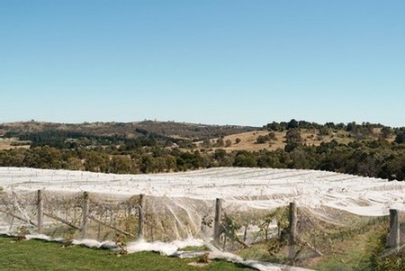 Contentious Character - wineries near Canberra & NSW