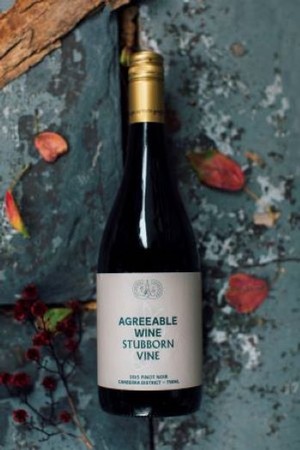 2015 Pinot Noir