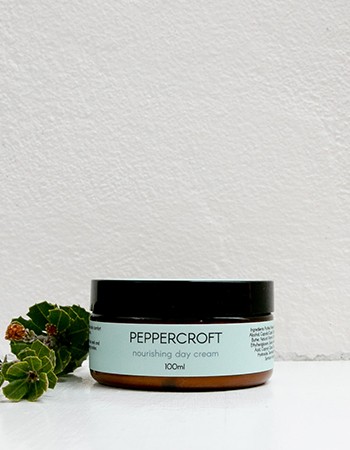 Nourishing Day Cream